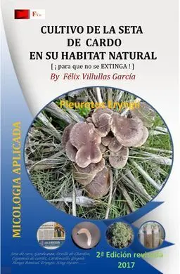 Cultivo de la Seta de Cardo en Su Hábitat Natural