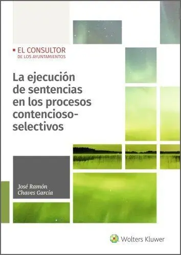 La Ejecución de Sentencias en los Procesos Contenc