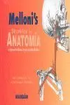 Secreto de Anatomia (Estudio)