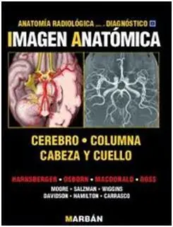 Imagen Anatomica Cerebro, Columna, Cabeza y Cuello