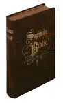 Sagrada Biblia Modelo 4