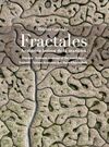 FRACTALES. ANATOMÍA ÍNTIMA DE LA DE LA MARISMA