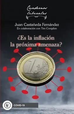 Es la Inflacion la Proxima Amenaza?