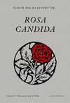 ROSA CANDIDA