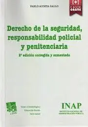 Derecho de la Seguridad, Responsabilidad Policial