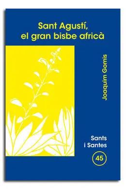 Sant Agustí, el Gran Bisbe Africà