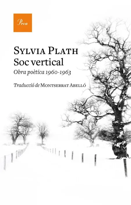 Soc Vertical