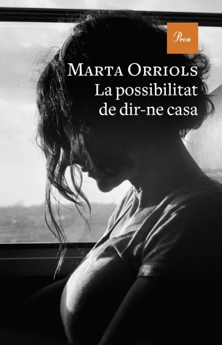 La Possibilitat de Dir Ne Casa