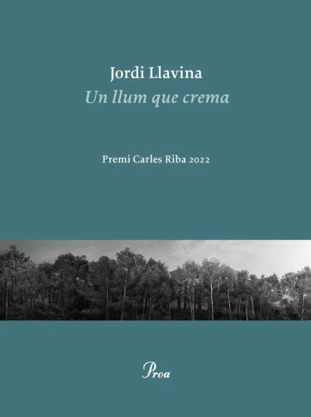 Un Llum que Crema