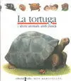 La Tortuga