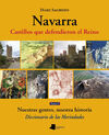 NAVARRA. CASTILLOS QUE DEFENDIERON EL REINO ?TOMO V?