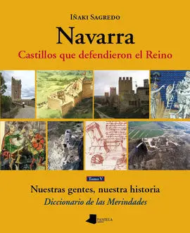 Navarra. Castillos que Defendieron el Reino ?Tomo V?