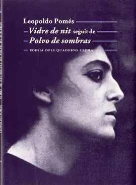 Vidre de Nit Seguit de Polvo de Sombras