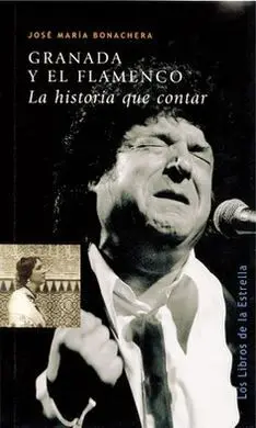 Granada y el Flamenco