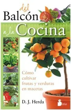 Del Balcon a la Cocina