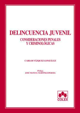 Delincuencia Juvenil: Consideraciones Penales y Criminología