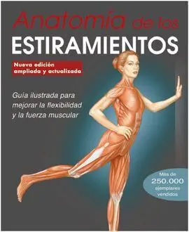 Anatomia de los Estiramientos