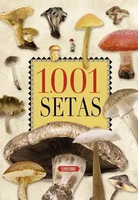 1001 Setas