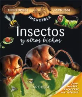 Insectos y Otros Bichos