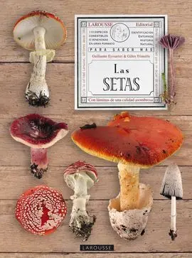 El Gran Libro de las Setas