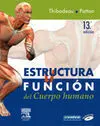 Estructura y Función del Cuerpo Humano