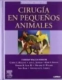Cirugía en Pequeños Animales