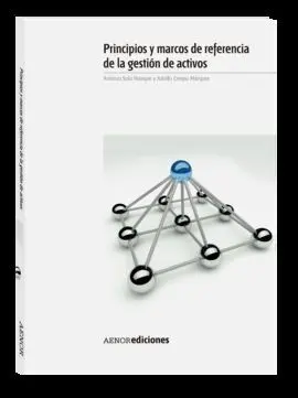 Principios y Marcos de Referencia de la Gestión de Activos