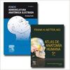 PACK FENEIS-NETTER