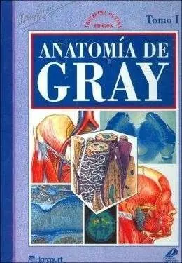 Anatomía de Gray