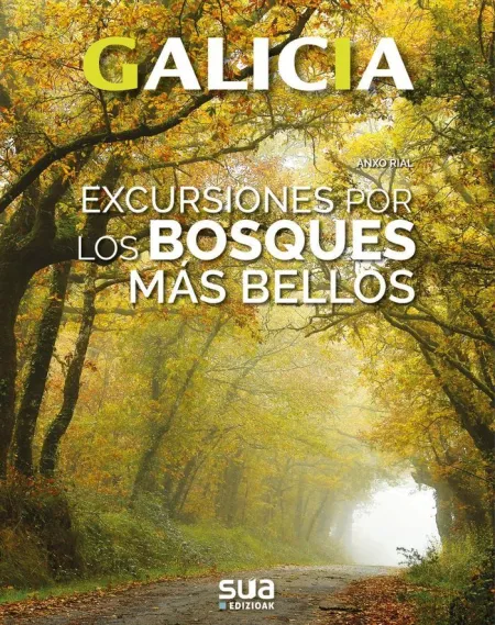 Excursiones a los Bosques Más Bellos de Galicia