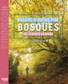 PASEOS Y RUTAS POR BOSQUES II PIRINEO CENTRAL