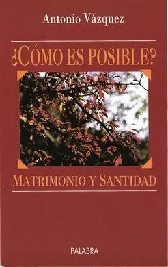 ¿Cómo Es Posible? Matrimonio y Santidad
