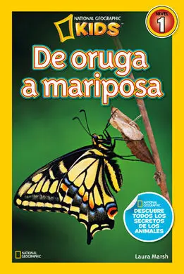De Oruga a Mariposa