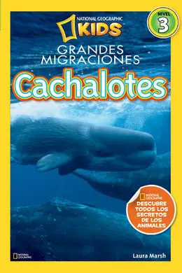 Cachalotes