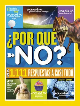 ¿Por qué No?