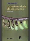 LA METAMORFOSIS DE LOS INSECTOS
