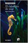EL CABALLITO DE MAR