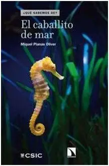 El Caballito de Mar