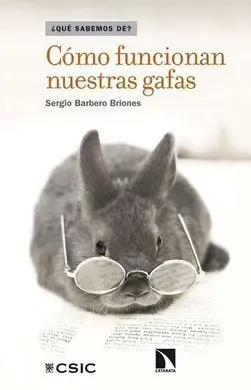 Cómo Funcionan nuestras Gafas