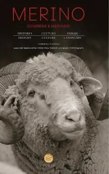 Merino