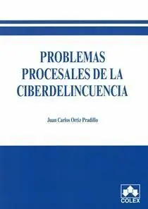 Problemas Procesales de la Ciberdelincuencia