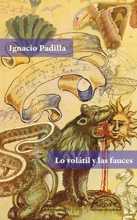 Lo Volátil y las Fauces