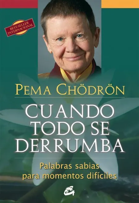 Cuando Todo se Derrumba