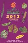 Guiafitos 2013. Guia Practica de Productos Fitosanitarios