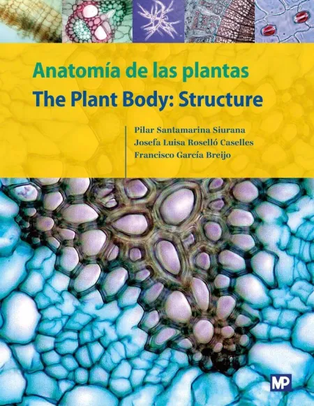Anatomia de las Plantas The Plant Body Structure