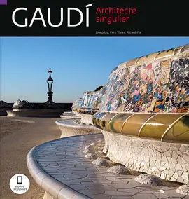 Architecte Singulier