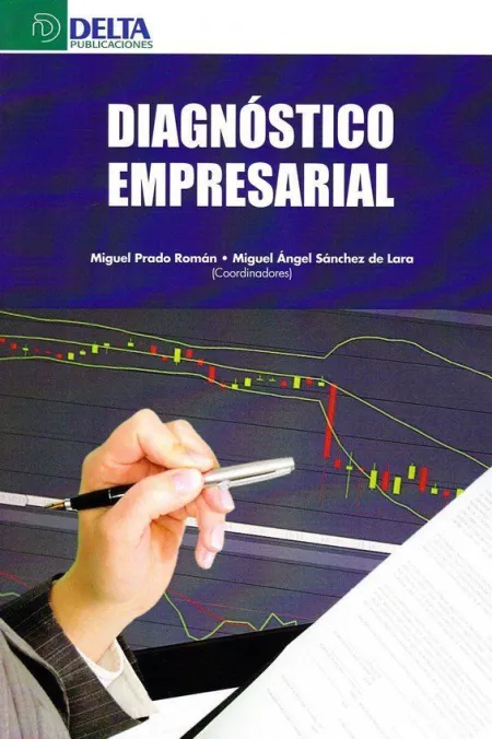 Diagnóstico Empresarial
