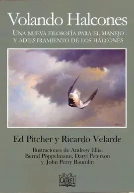 Volando Halcones