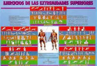 Ejercicios de las Extremidades Superiores.