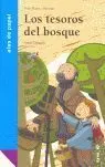 Los Tesoros del Bosque